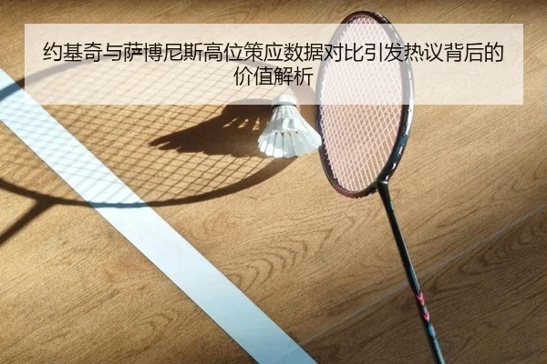 约基奇与萨博尼斯高位策应数据对比引发热议背后的价值解析